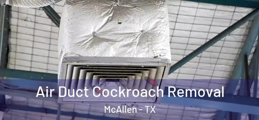 Air Duct Cockroach Removal McAllen - TX