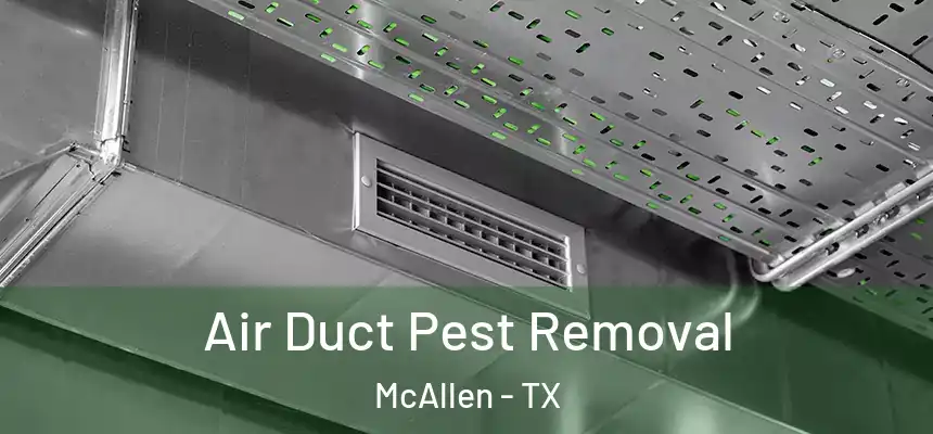  Air Duct Pest Removal McAllen - TX