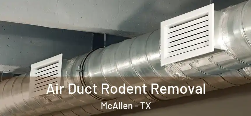  Air Duct Rodent Removal McAllen - TX