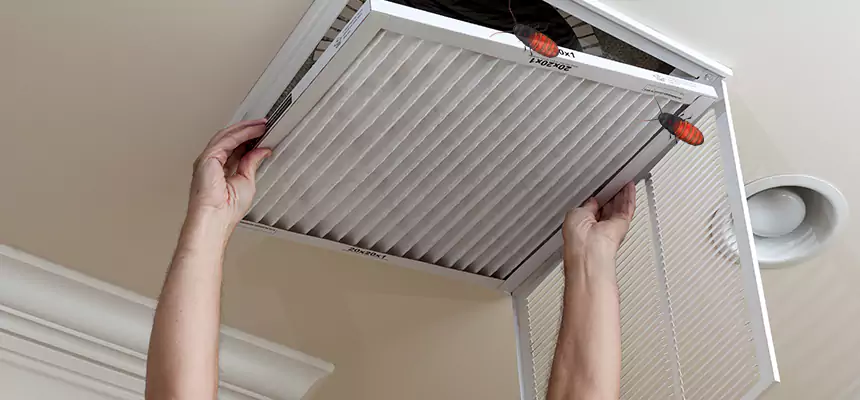 Preventive Cockroach-Proofing for Ducts in McAllen