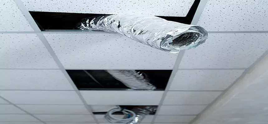 Our Air Duct Pet Hair Removal Services in McAllen, TX