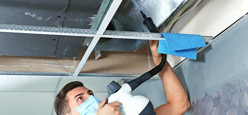 Our Air Duct Rodent Removal Services in McAllen, TX