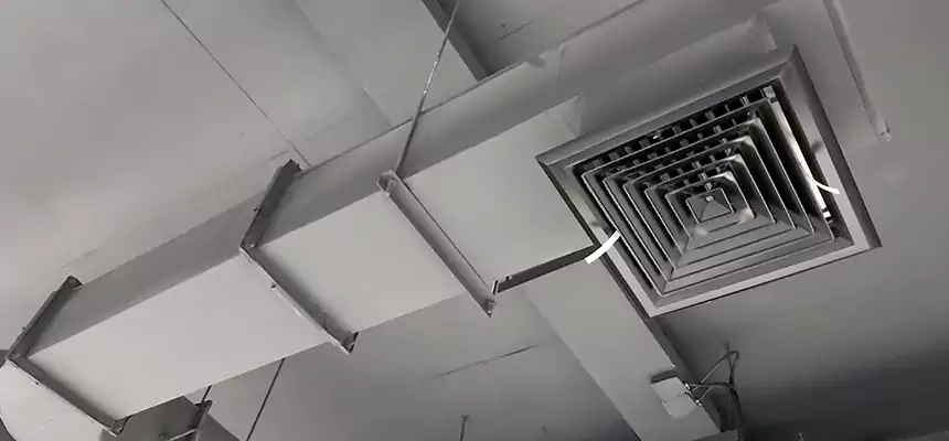 Our Pest Removal From Ducts Services in McAllen, TX