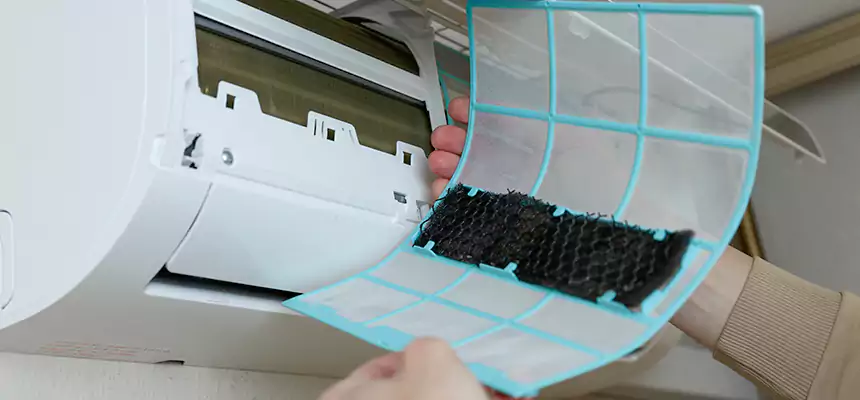 Gentle Ductwork Odor-Control Pet Dander Duct Cleaning in McAllen, TX