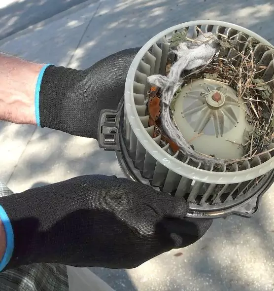 About Air Duct Mice Removal in McAllen, TX