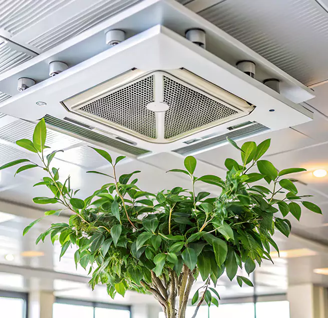 Why Homeowners & Businesses Trust Us in McAllen, TX