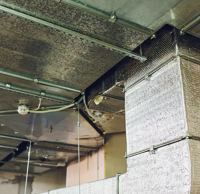 Why Homeowners & Businesses Trust Us in McAllen, TX?